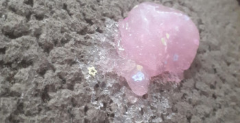 Как убрать слайм с ковра в домашних условиях быстро и эффективно